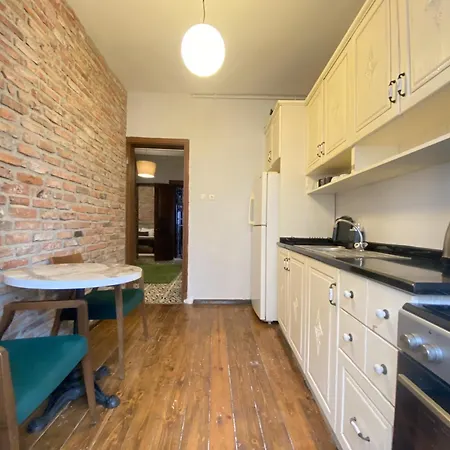 Authentic Beyoglu Flat 2br W Brick Walls Vint Διαμέρισμα Κωνσταντινούπολη